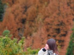 -山王坪喀斯特国家生态公园