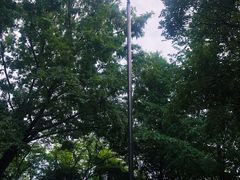-北极阁公园
