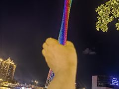 -海心沙亚运公园