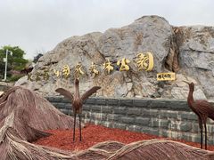 -北京西山国家森林公园