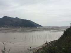 -北岐滩涂