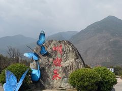 -蝴蝶泉公园