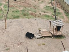 -青藏高原野生动物园