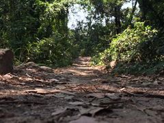 -火炉山森林公园