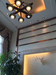 -ＤＯＭＯプロの美容サロン