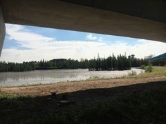 -白鹭湾湿地公园