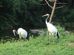 -杭州野生动物世界