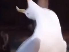 -威尔仕健身(新天地店)