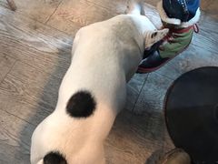 -小时光咖啡馆(北锣鼓巷店)