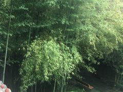 景点-望江楼公园