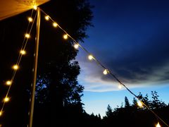 -武陵山森林公园