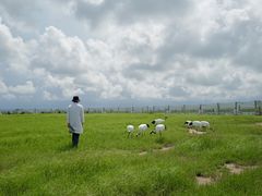 -盐城丹顶鹤湿地生态旅游区