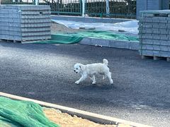 -东椰·海南椰子鸡火锅(朝阳门店)