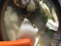 鲫鱼豆腐汤-中医药大学-第2食堂