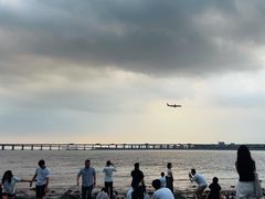 -宝安西湾红树林湿地公园