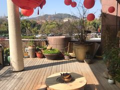 -青藤茶馆(凤起路店)