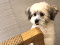 -白熊咖啡(闽江大道店)