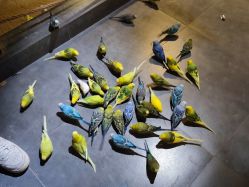 点击看大图 -酷嗒动物文化乐园(cutezoo西溪乐天城店)