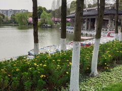 -荆川公园
