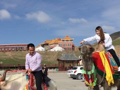 -青海湖国家重点风景名胜区