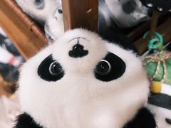 -轩客会(熊猫书店)