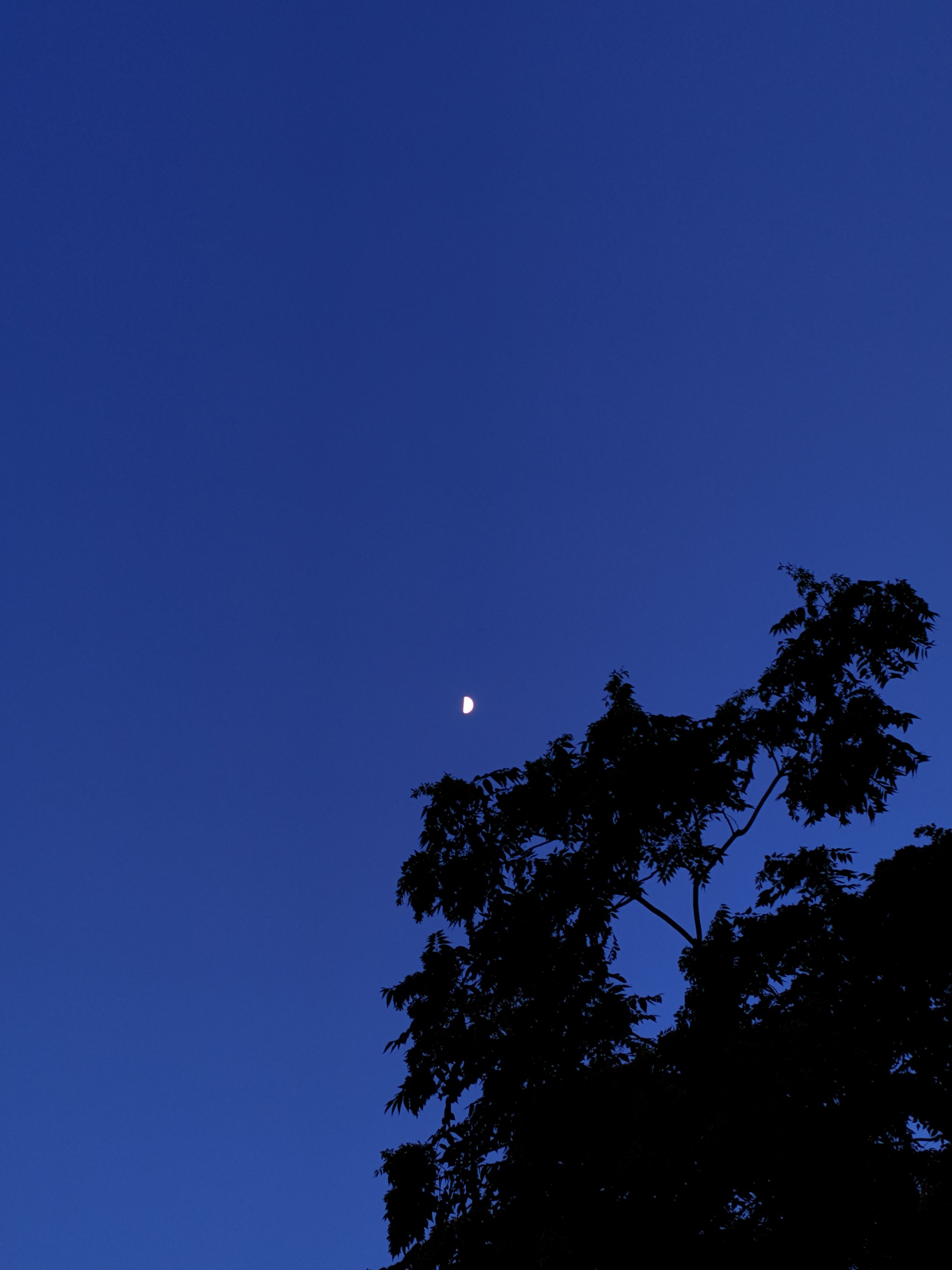 夏天夜晚的天空图片图片