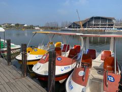 -上海长兴岛郊野公园