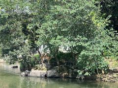 -宁波野生动物园