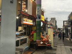 -宝健路步行街(Pedestrian Shopping Street)