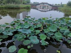 -西海子公园