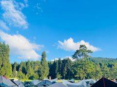 -武陵山森林公园