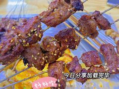 -小老虎