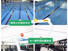 -鲸灵公元游泳中心