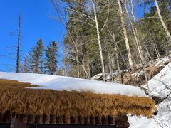 -峡谷浮石林景区