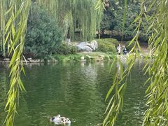 -后襄河公园