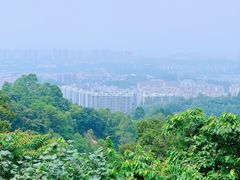 -火炉山森林公园