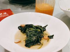 -沪碟·精菜坊(闵行店)