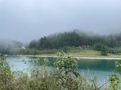 -武陵山森林公园