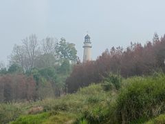 -金海湾滨江公园