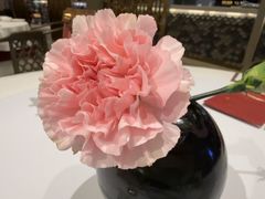 -阿五黄河大鲤鱼(海尚店)