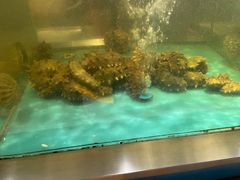 -海天盛宴海鲜自助(正大广场店)