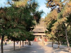 -晋祠公园
