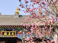 -护国法轮寺