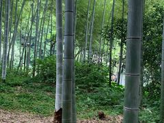 -杭州黄龙洞