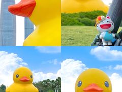 -深圳人才公园