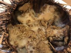 -海胆小馆(东北水饺·春柳店)