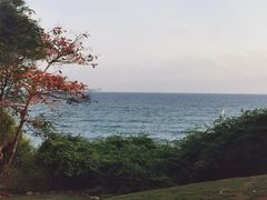 -三亚南山文化旅游区