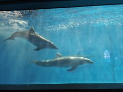 -福州罗源湾海洋世界旅游区