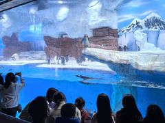 -海合安成都极地海洋公园