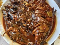 -金台阶鱼馆(于桥水库店)